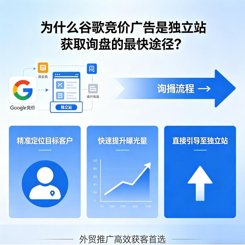 为什么竞价广告是谷歌独立站获取询盘的最快途径？